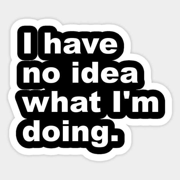 I Have No Idea What I'm Doing